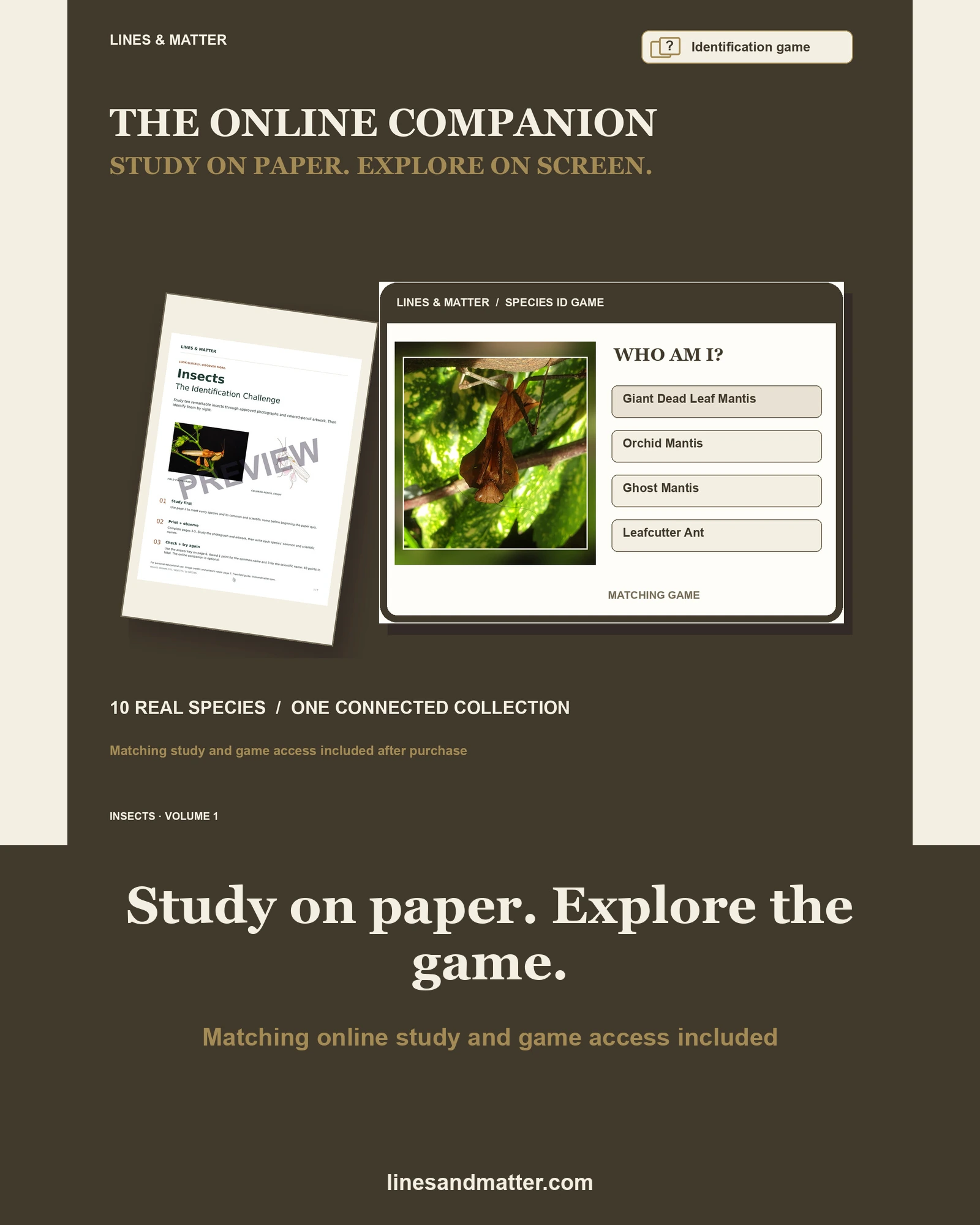 Insects · Volume 1 identification preview 2