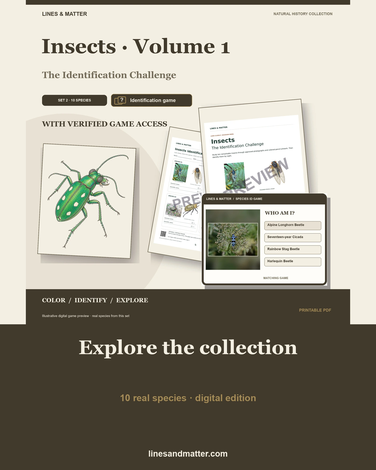 Insects · Volume 1 identification preview 1