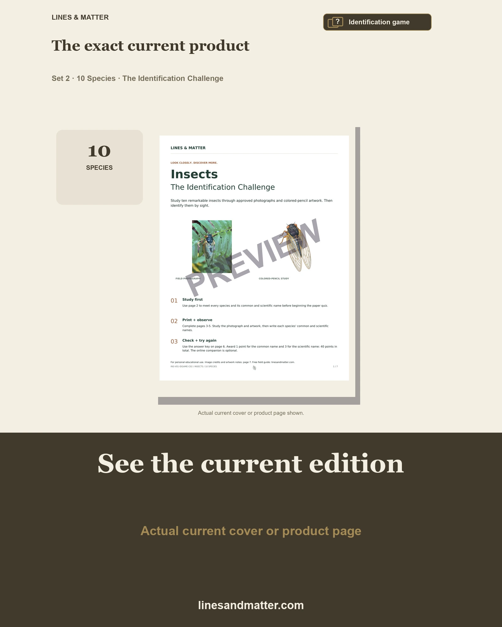 Insects · Volume 1 identification preview 3