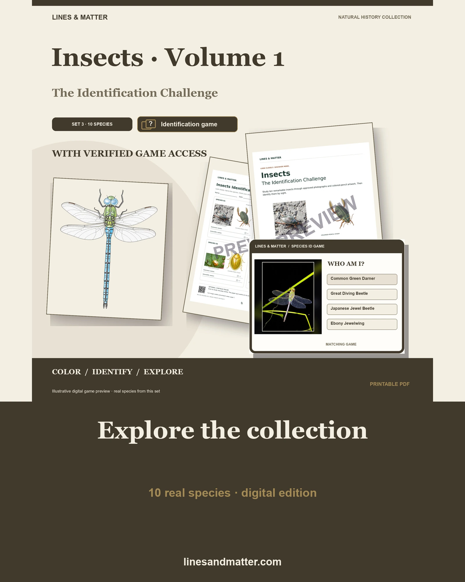 Insects · Volume 1 identification preview 1