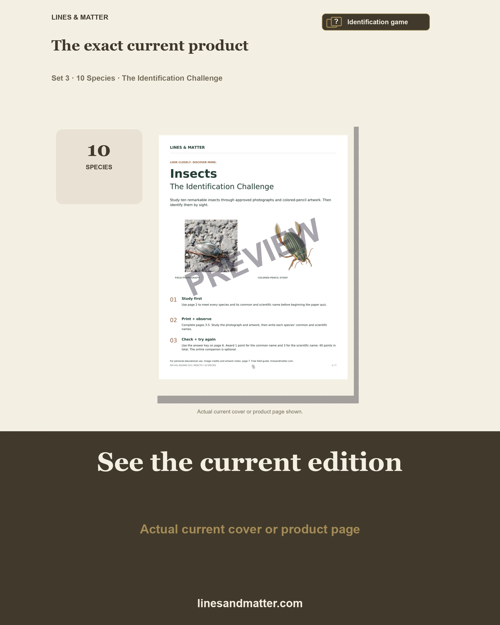 Insects · Volume 1 identification preview 3