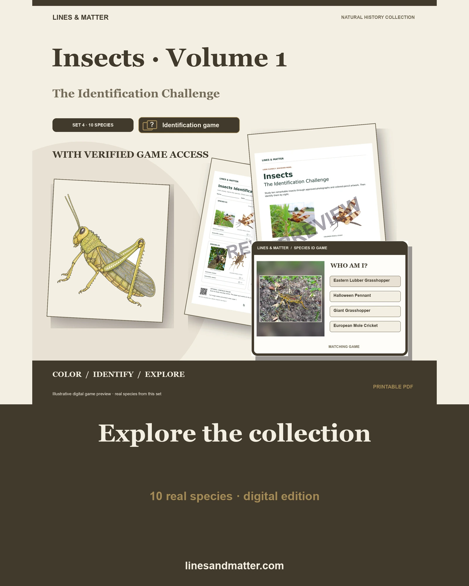 Insects · Volume 1 identification preview 1