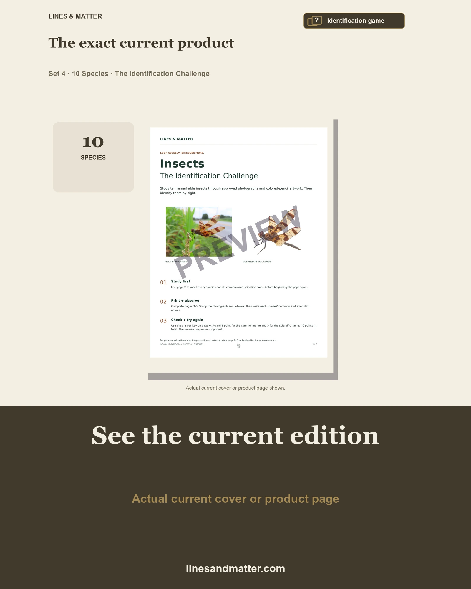 Insects · Volume 1 identification preview 3