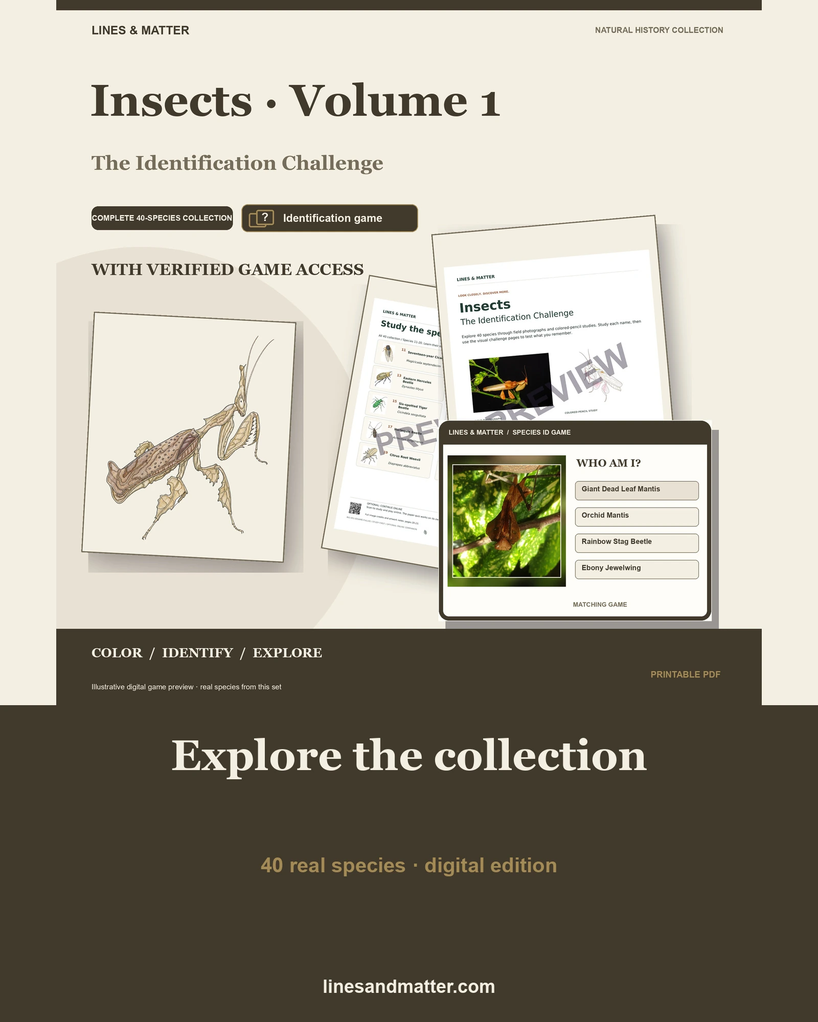 Insects · Volume 1 identification preview 1