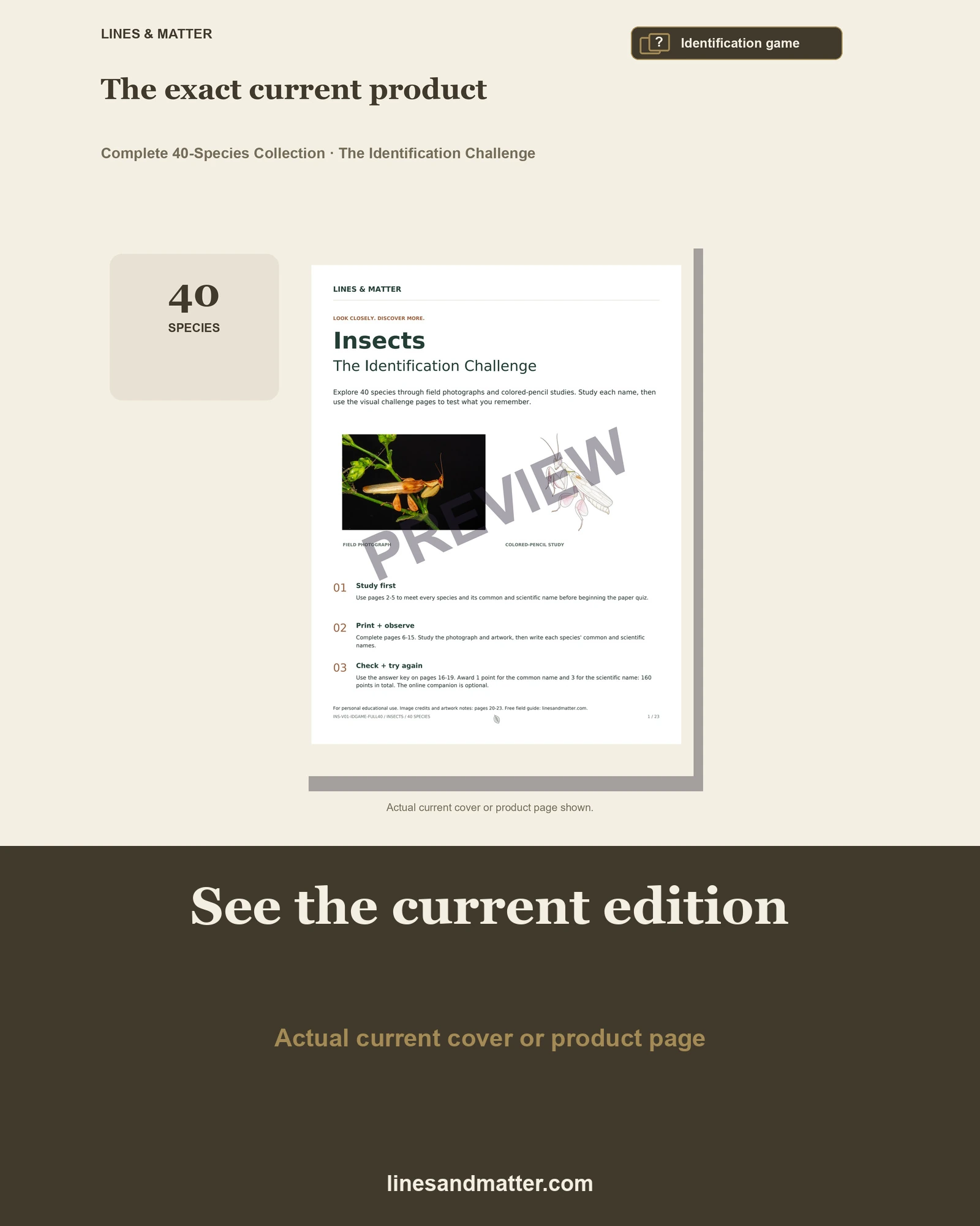 Insects · Volume 1 identification preview 3