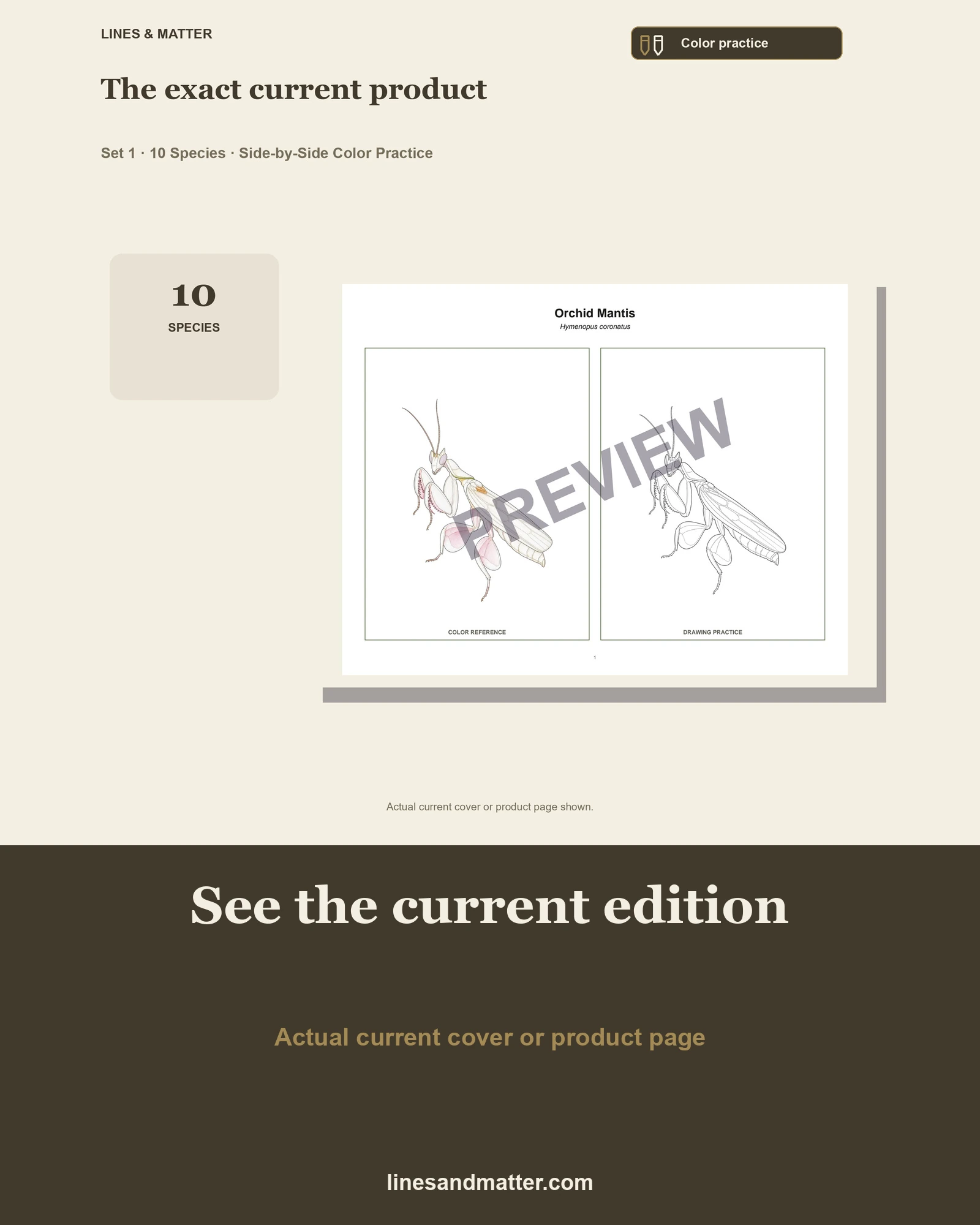 Insects · Volume 1 practice preview 3