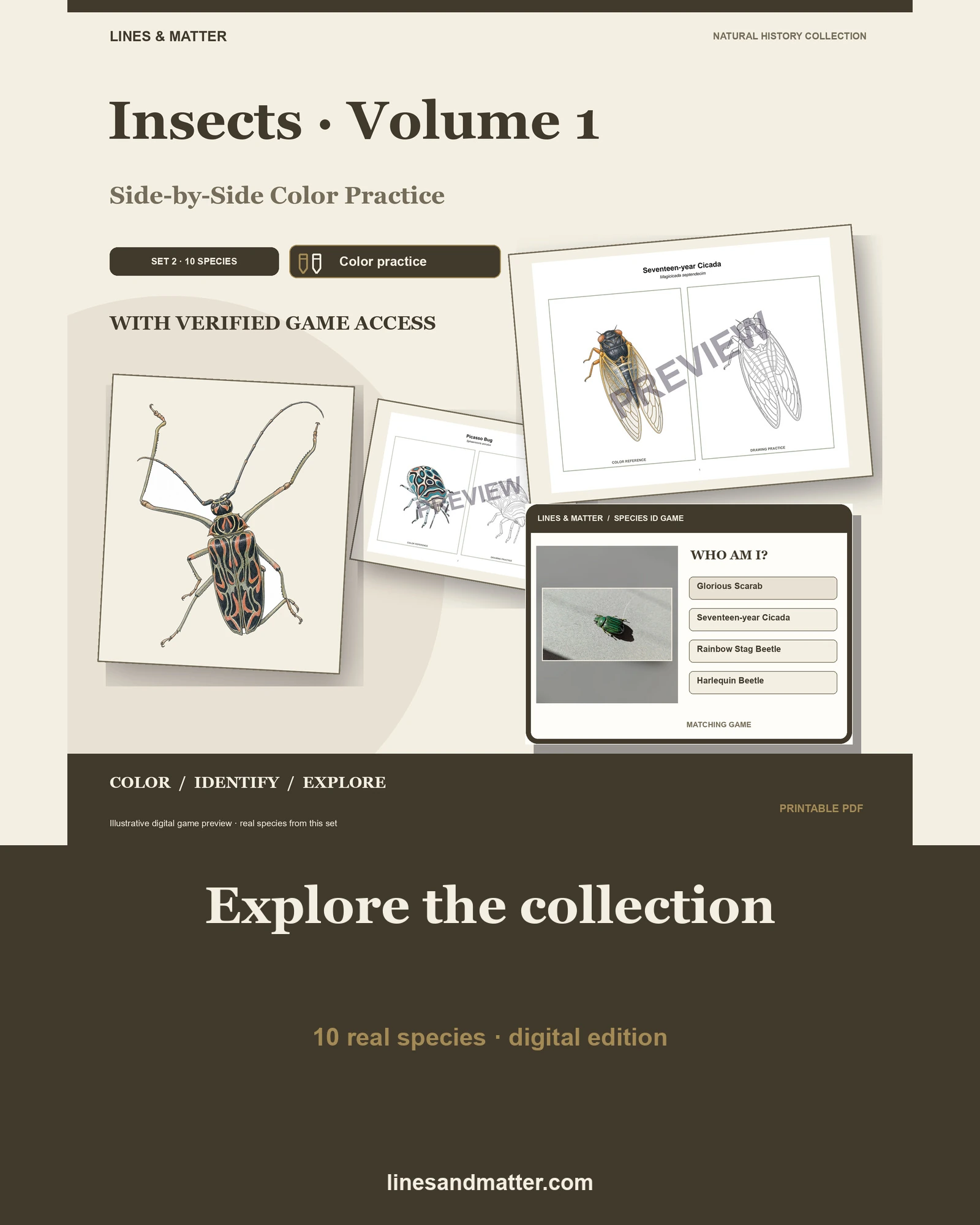 Insects · Volume 1 practice preview 1