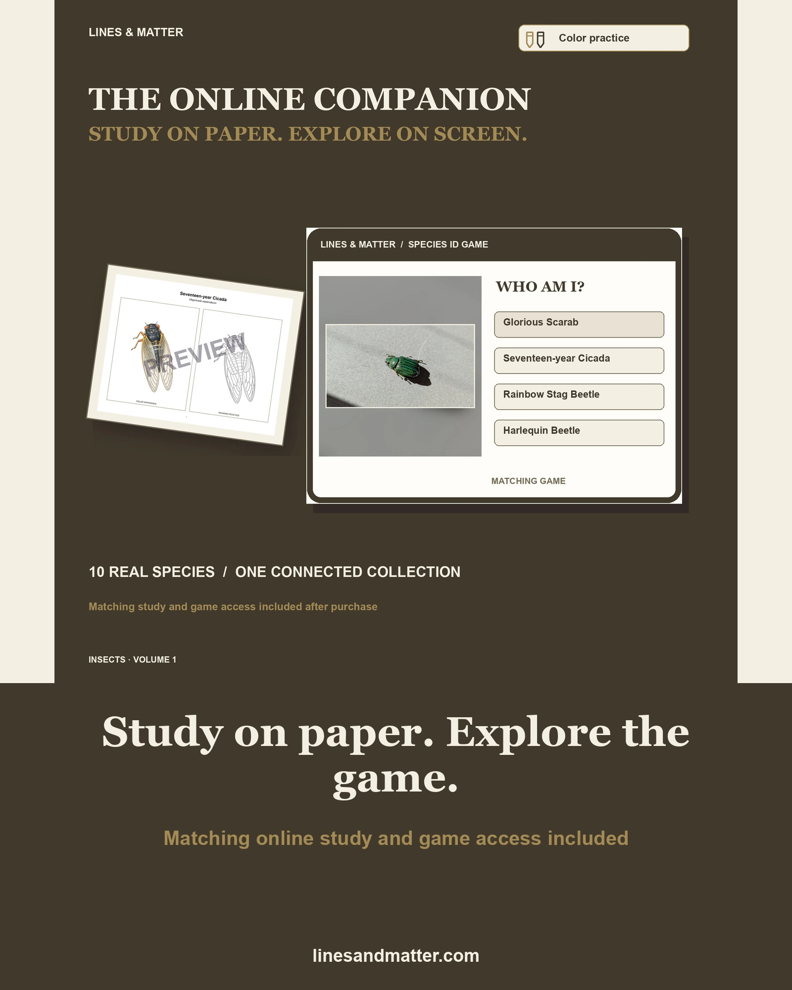 Insects · Volume 1 practice preview 2