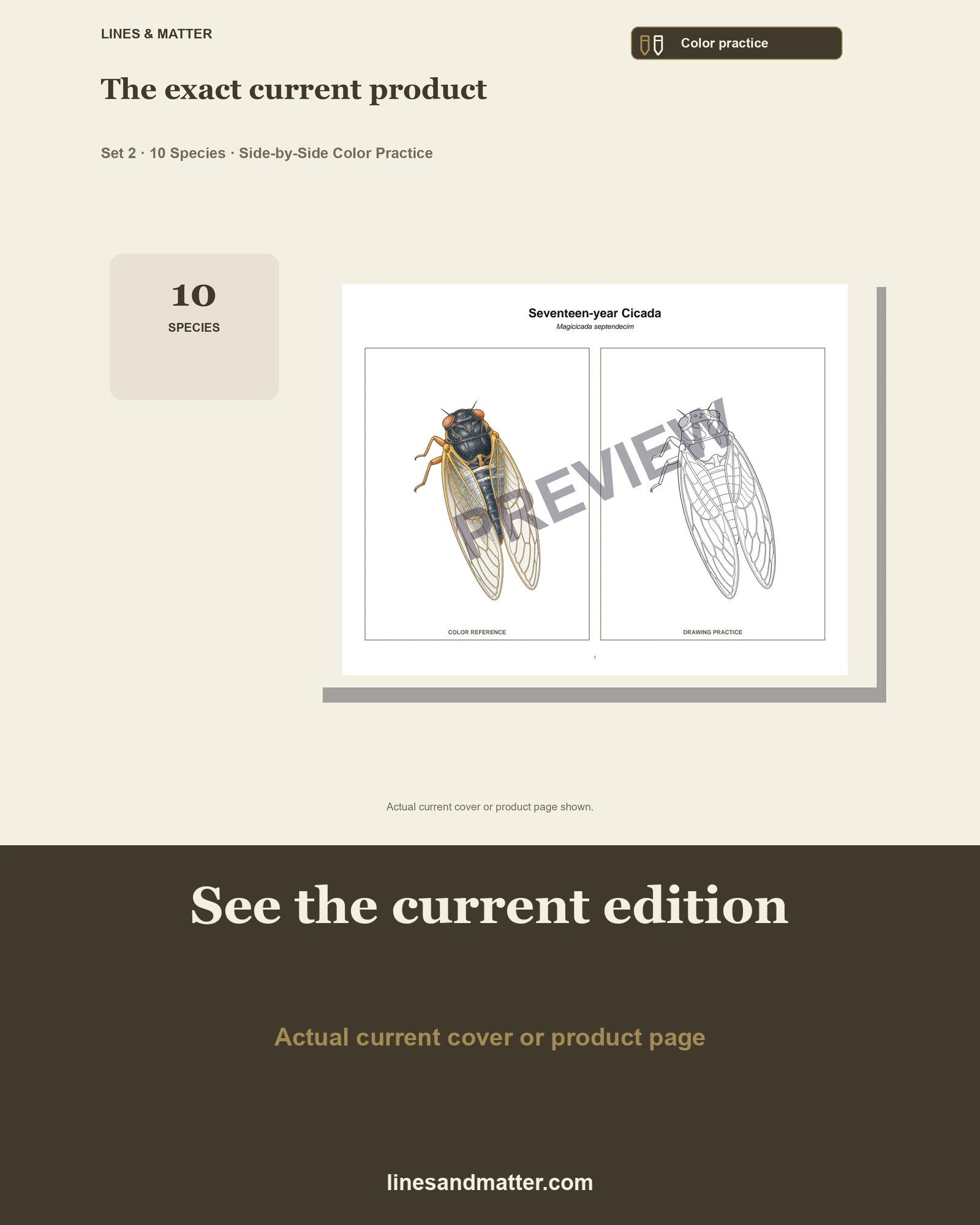 Insects · Volume 1 practice preview 3