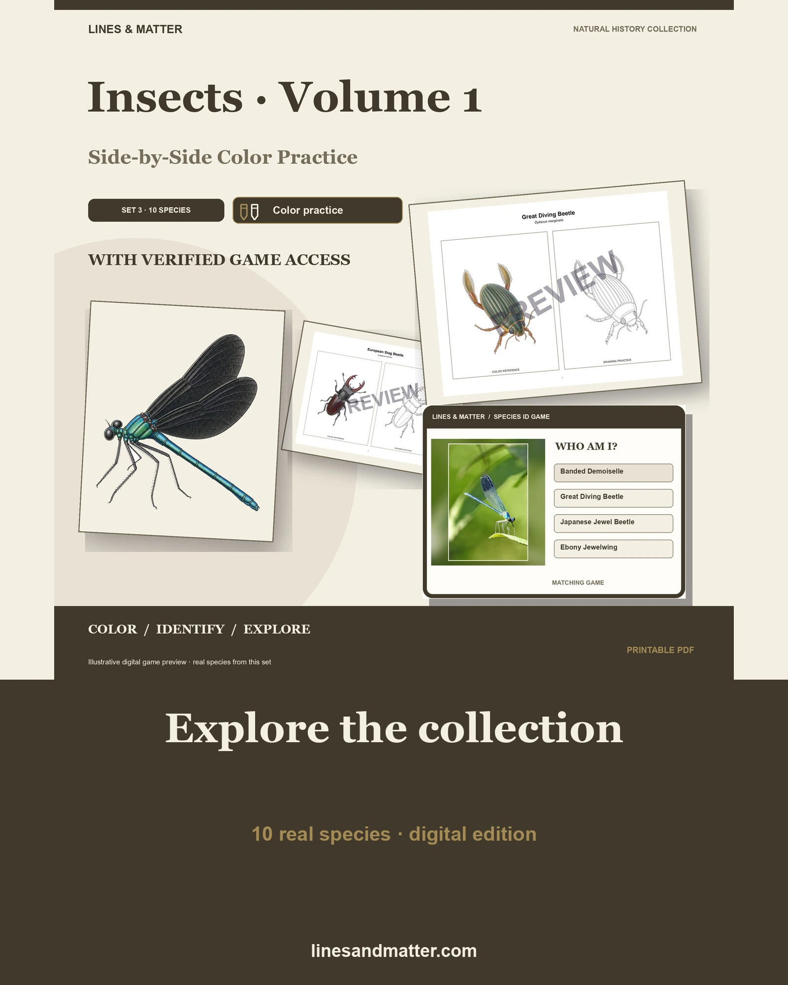 Insects · Volume 1 practice preview 1