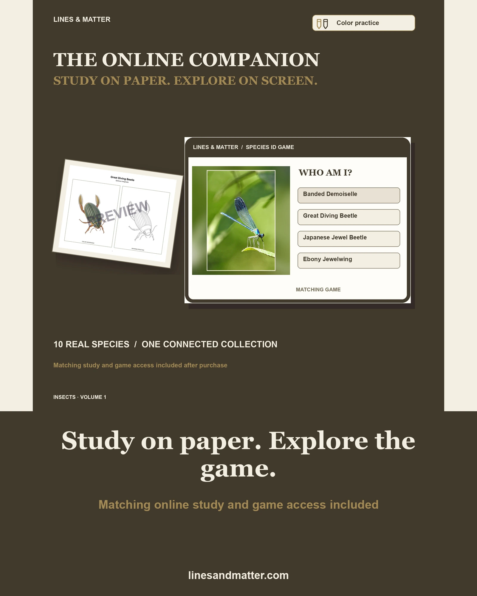 Insects · Volume 1 practice preview 2