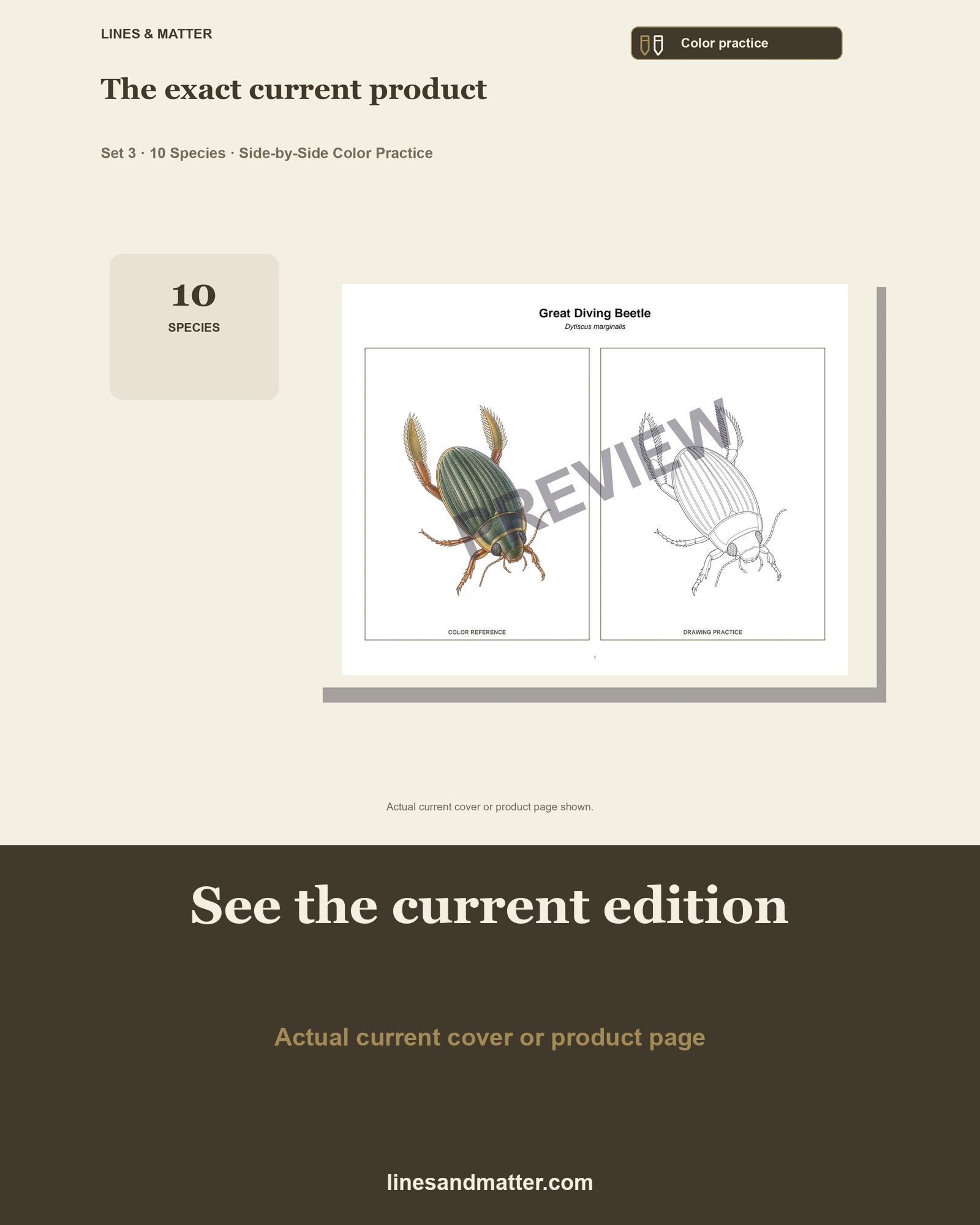 Insects · Volume 1 practice preview 3