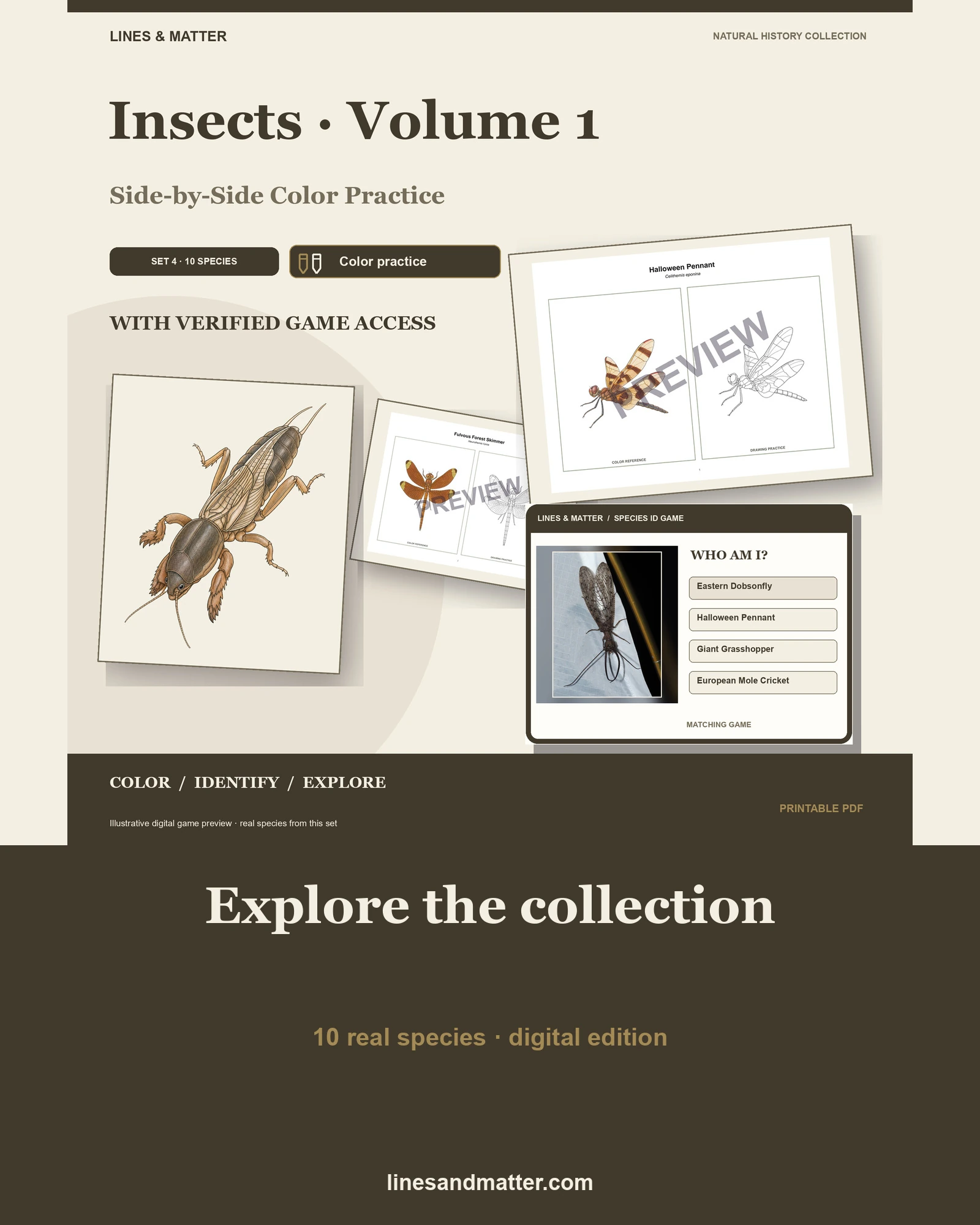 Insects · Volume 1 practice preview 1