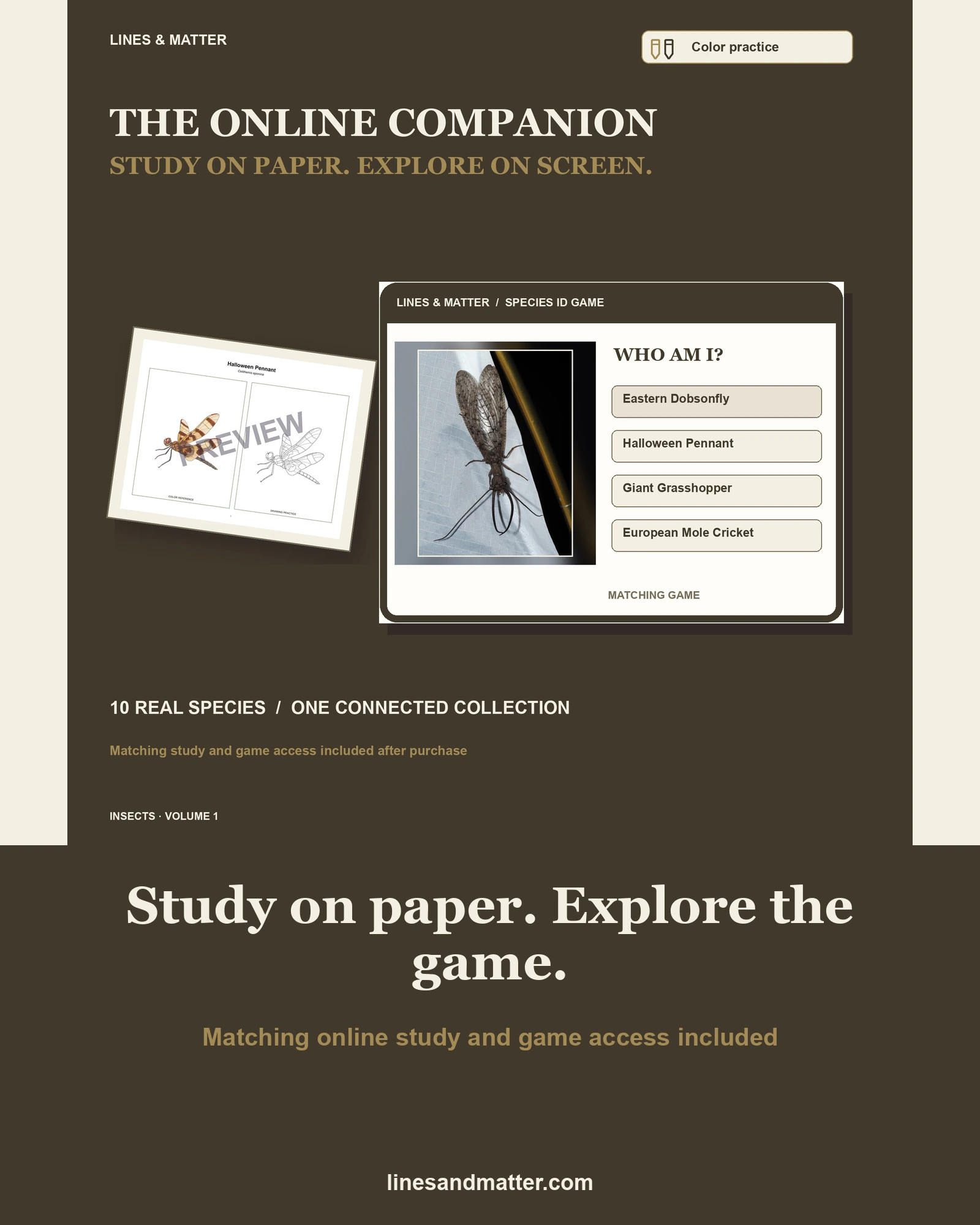 Insects · Volume 1 practice preview 2
