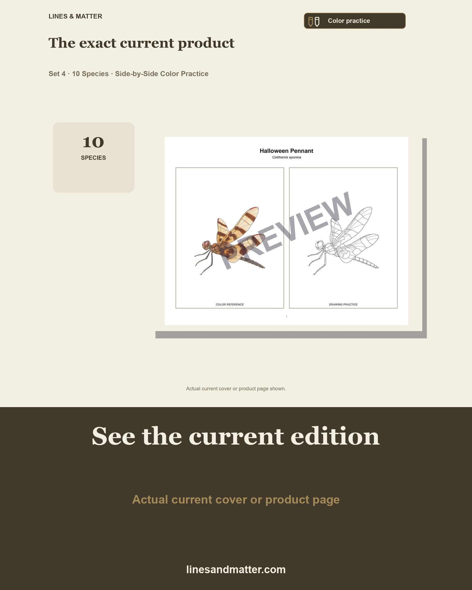 Insects · Volume 1 practice preview 3