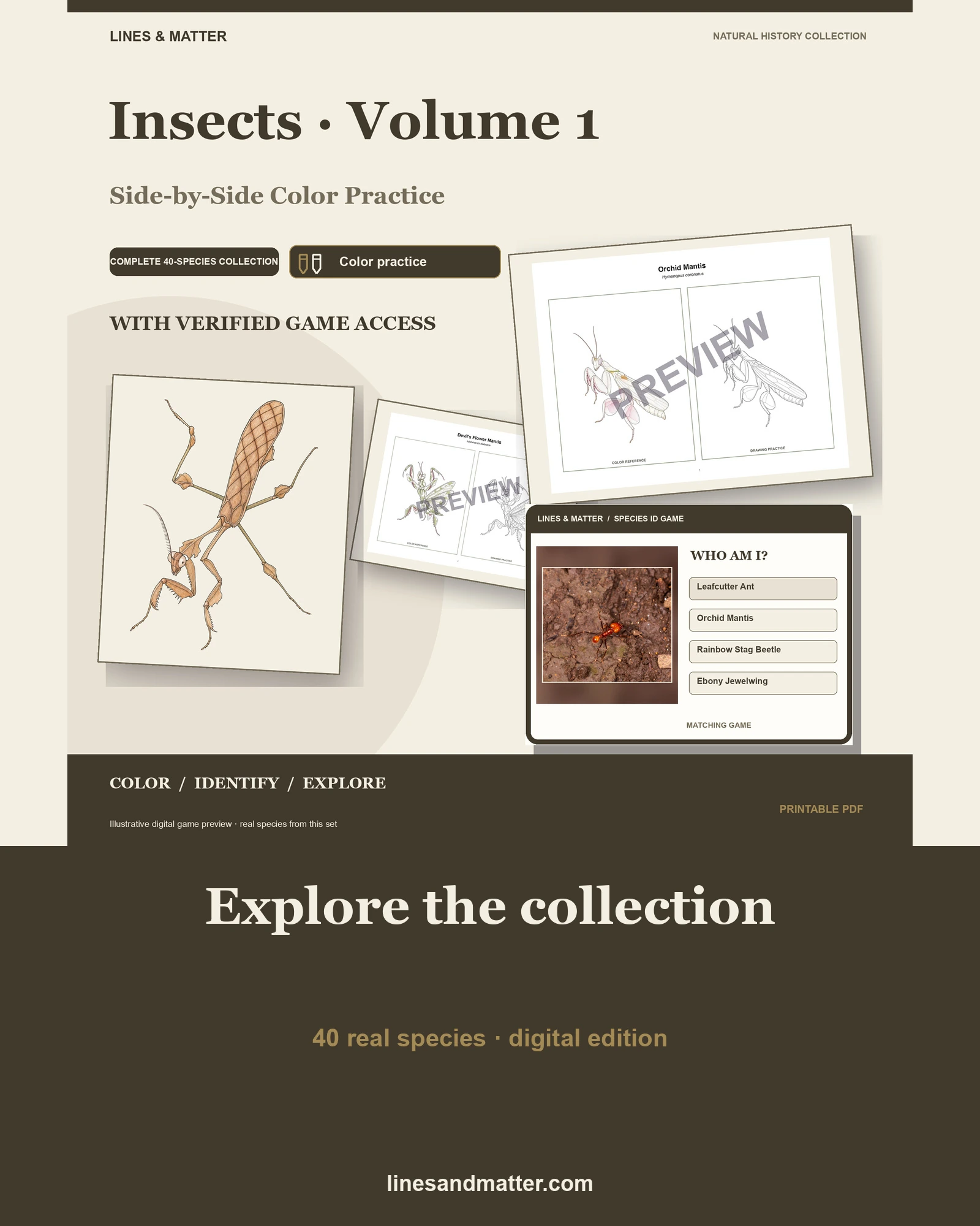 Insects · Volume 1 practice preview 1