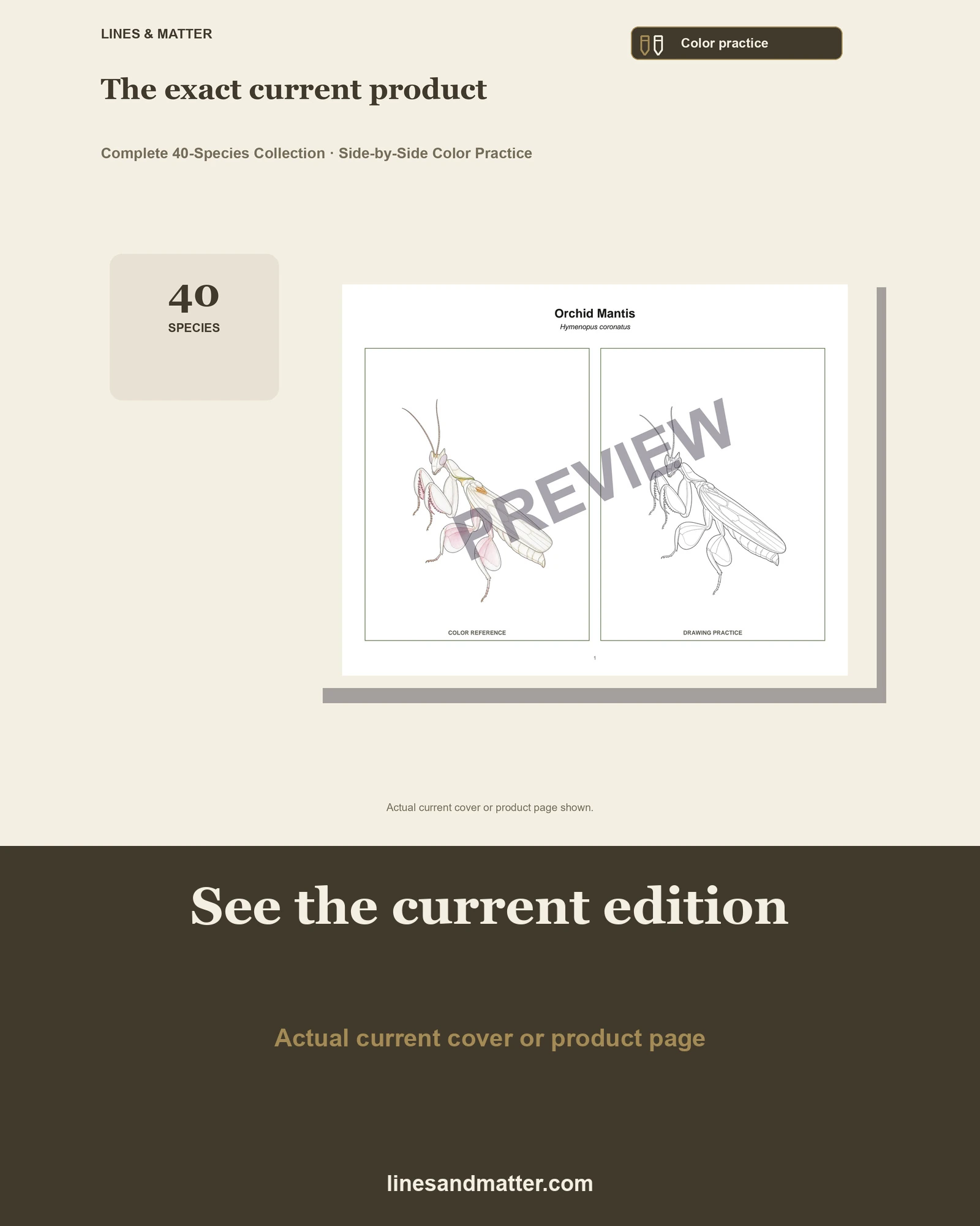 Insects · Volume 1 practice preview 3