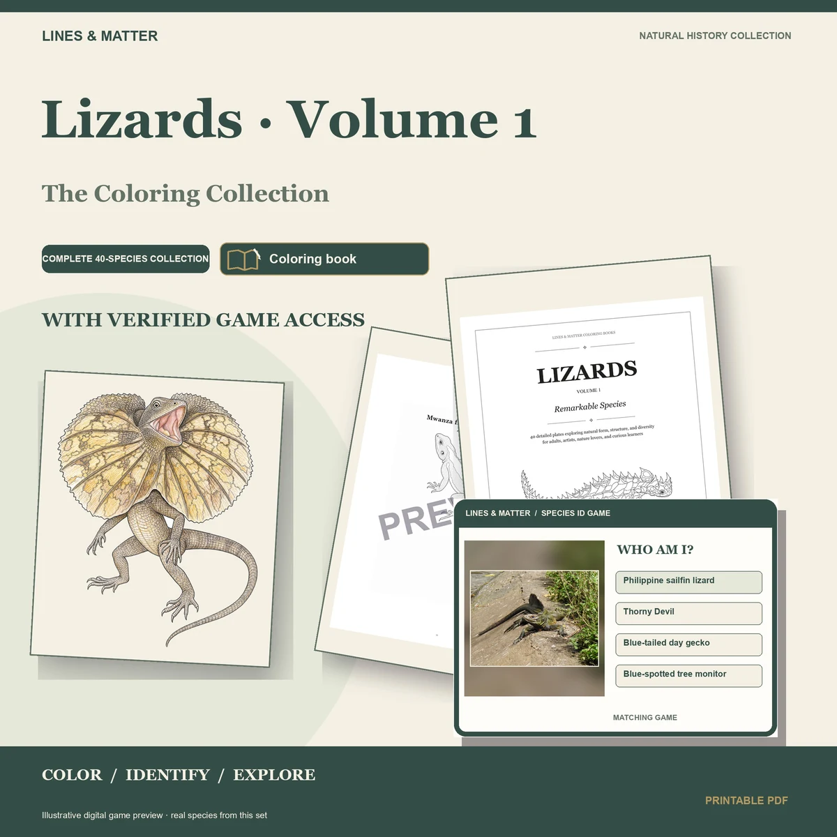 Lizards · Volume 1 printable collection