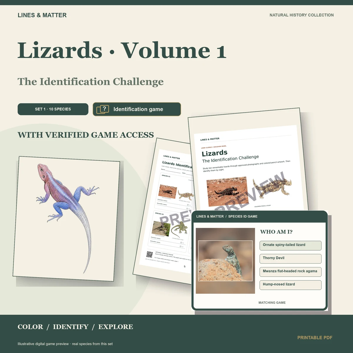 Lizards · Volume 1 identification preview 1