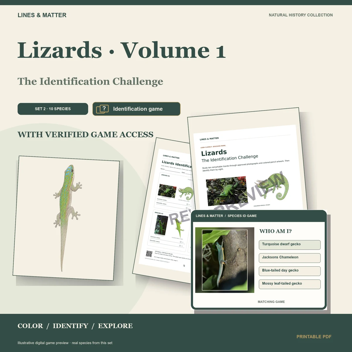 Lizards · Volume 1 identification preview 1