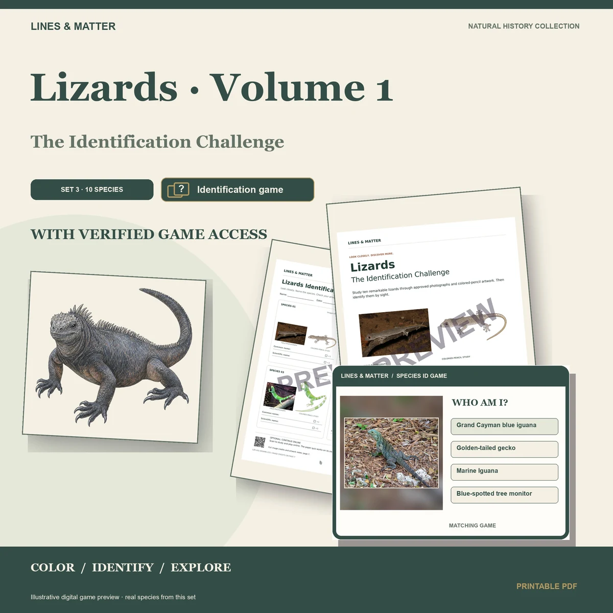 Lizards · Volume 1 identification preview 1