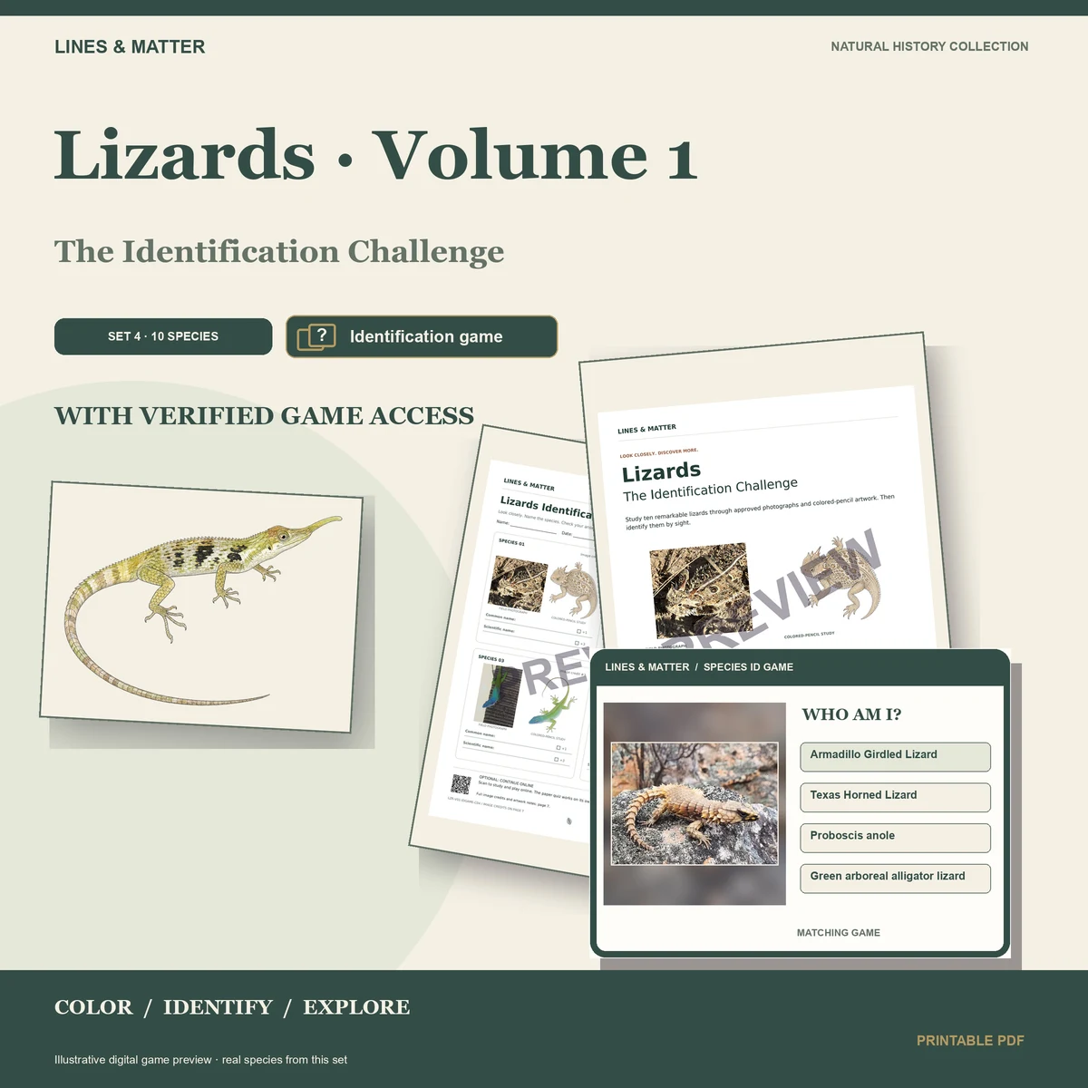 Lizards · Volume 1 identification preview 1