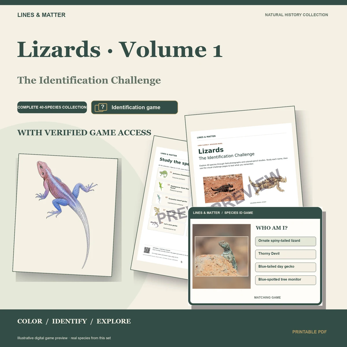 Lizards · Volume 1 identification preview 1