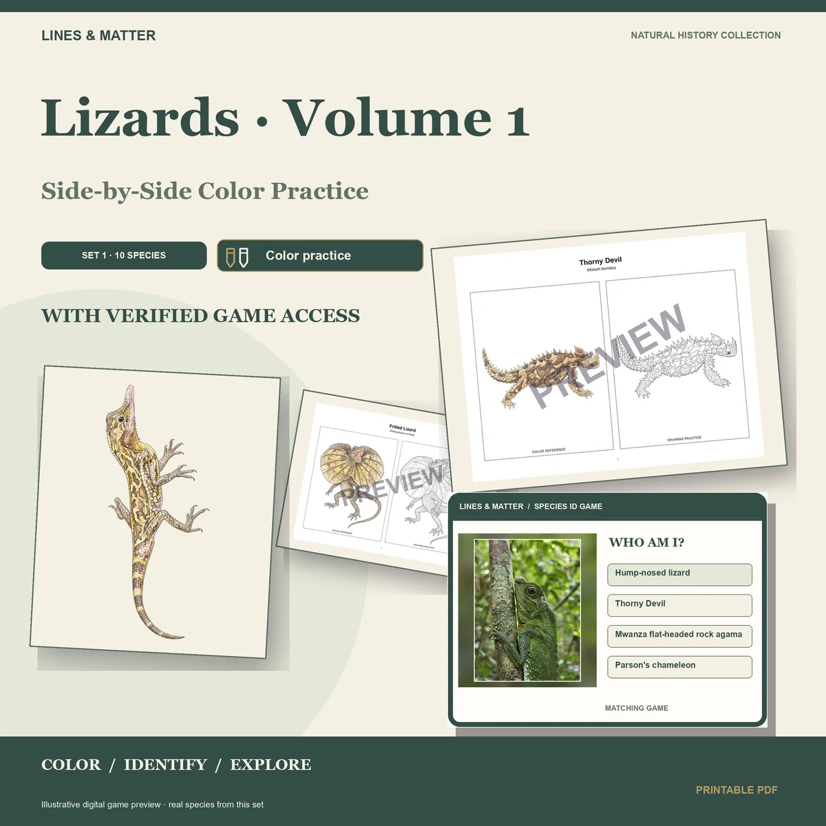 Lizards · Volume 1 practice preview 1