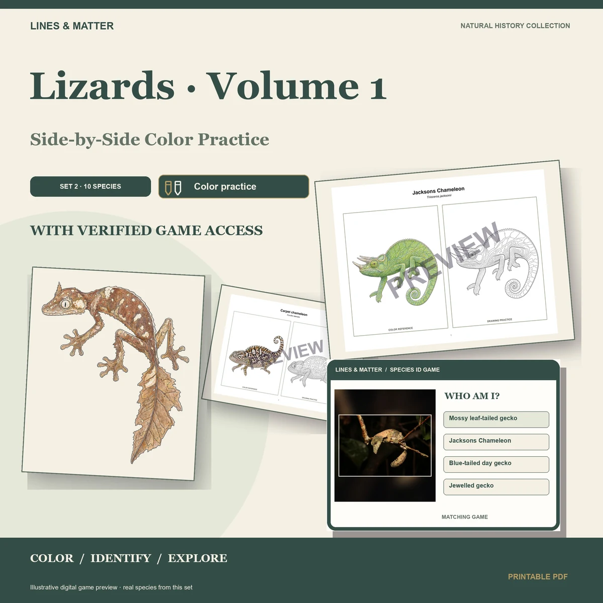 Lizards · Volume 1 practice preview 1