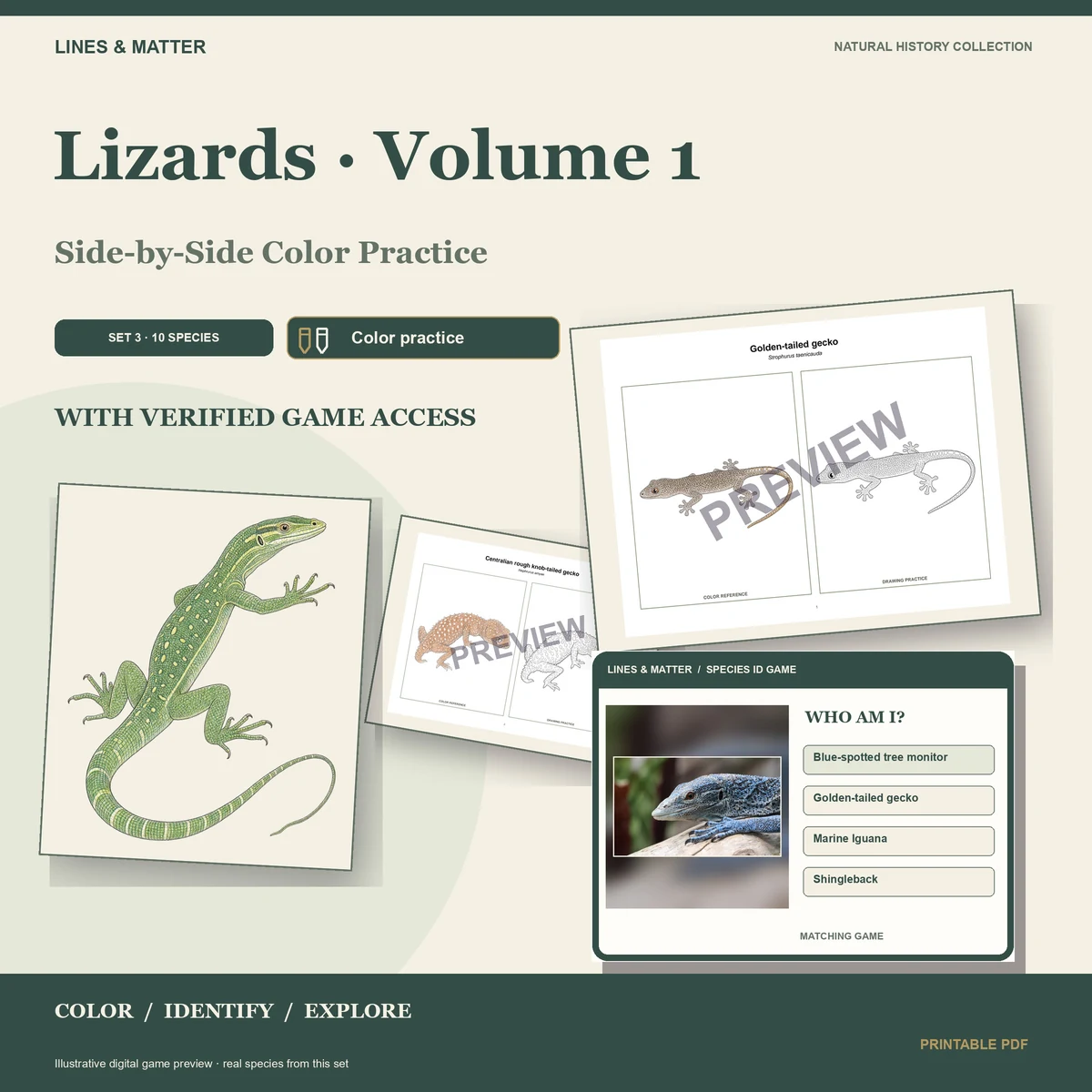 Lizards · Volume 1 practice preview 1