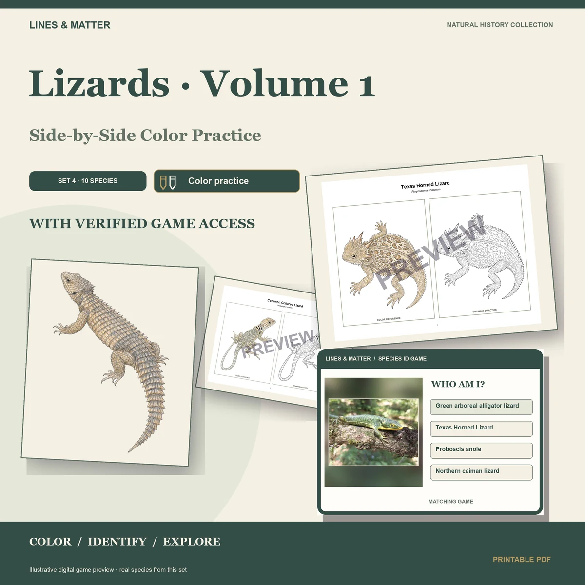 Lizards · Volume 1 practice preview 1
