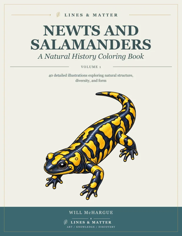 Newts and Salamanders coloring book cover