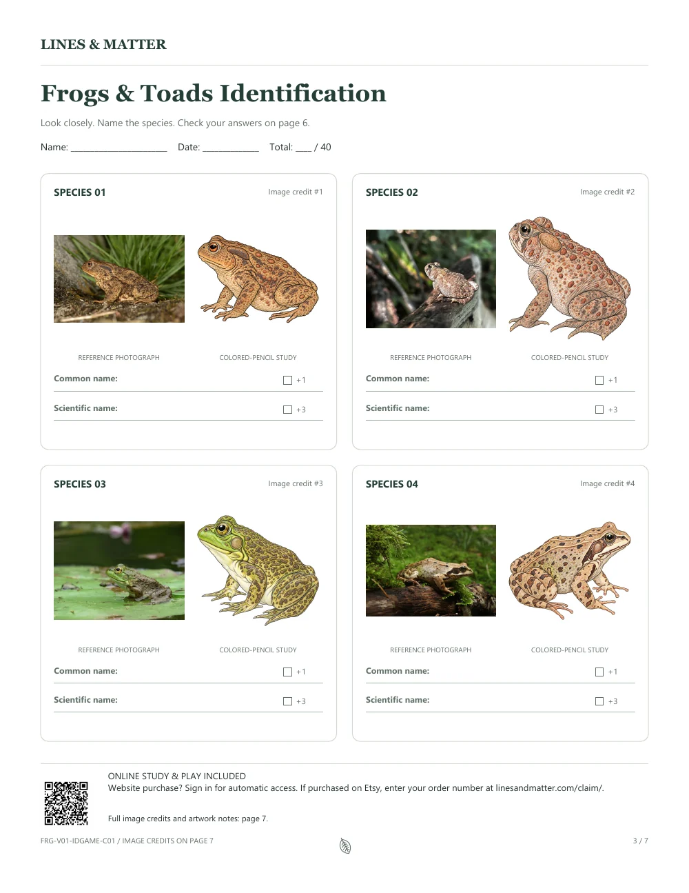 Frogs & Toads: An unchanged printable photograph-and-illustration worksheet.