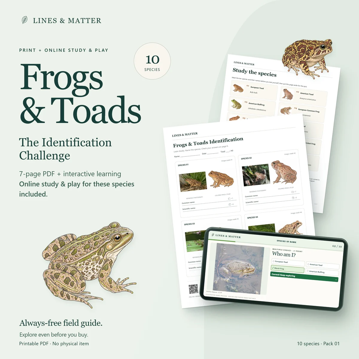 Frogs & Toads: The printable identification challenge and its matching online game.