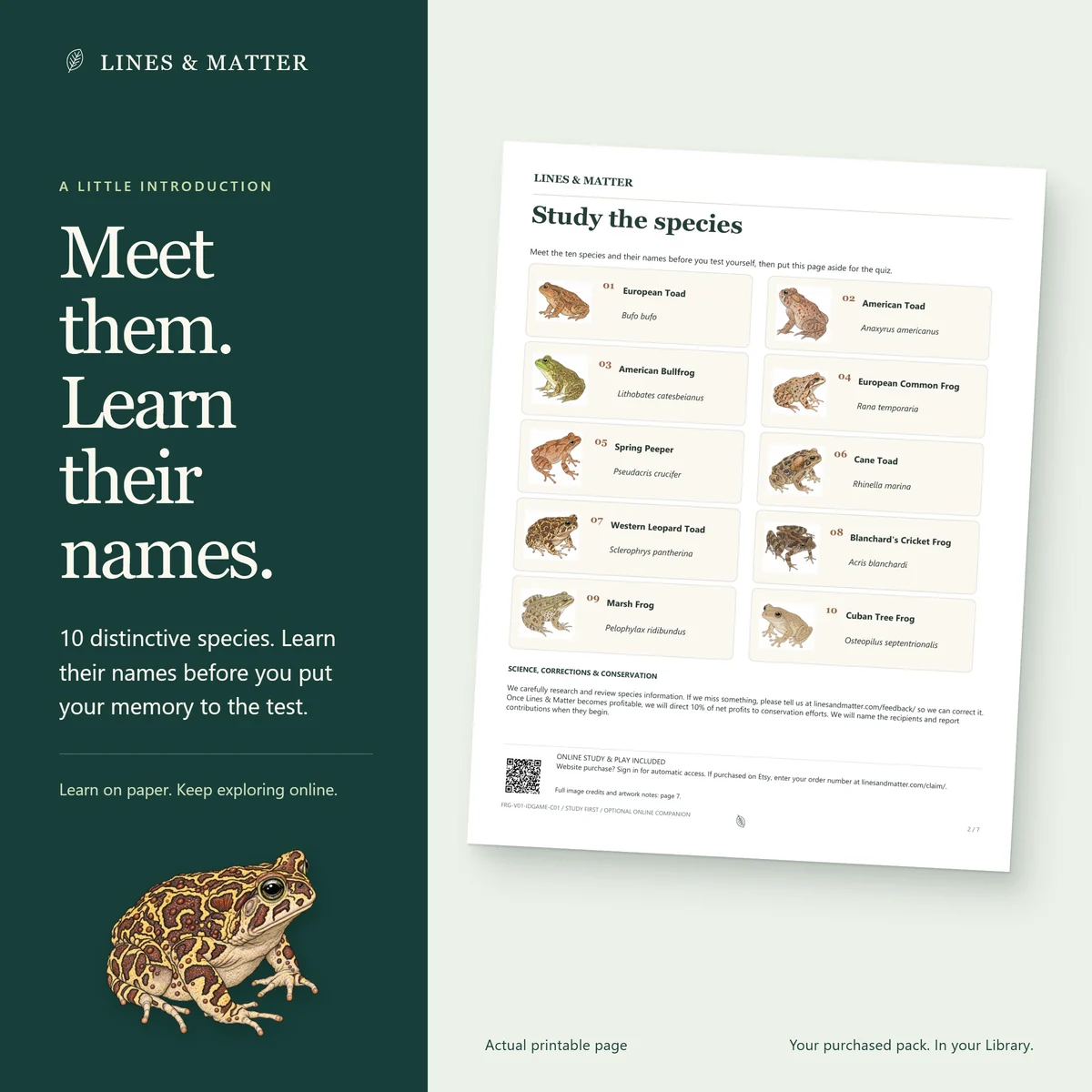 Frogs & Toads: Learn the names on the illustrated printable study page.