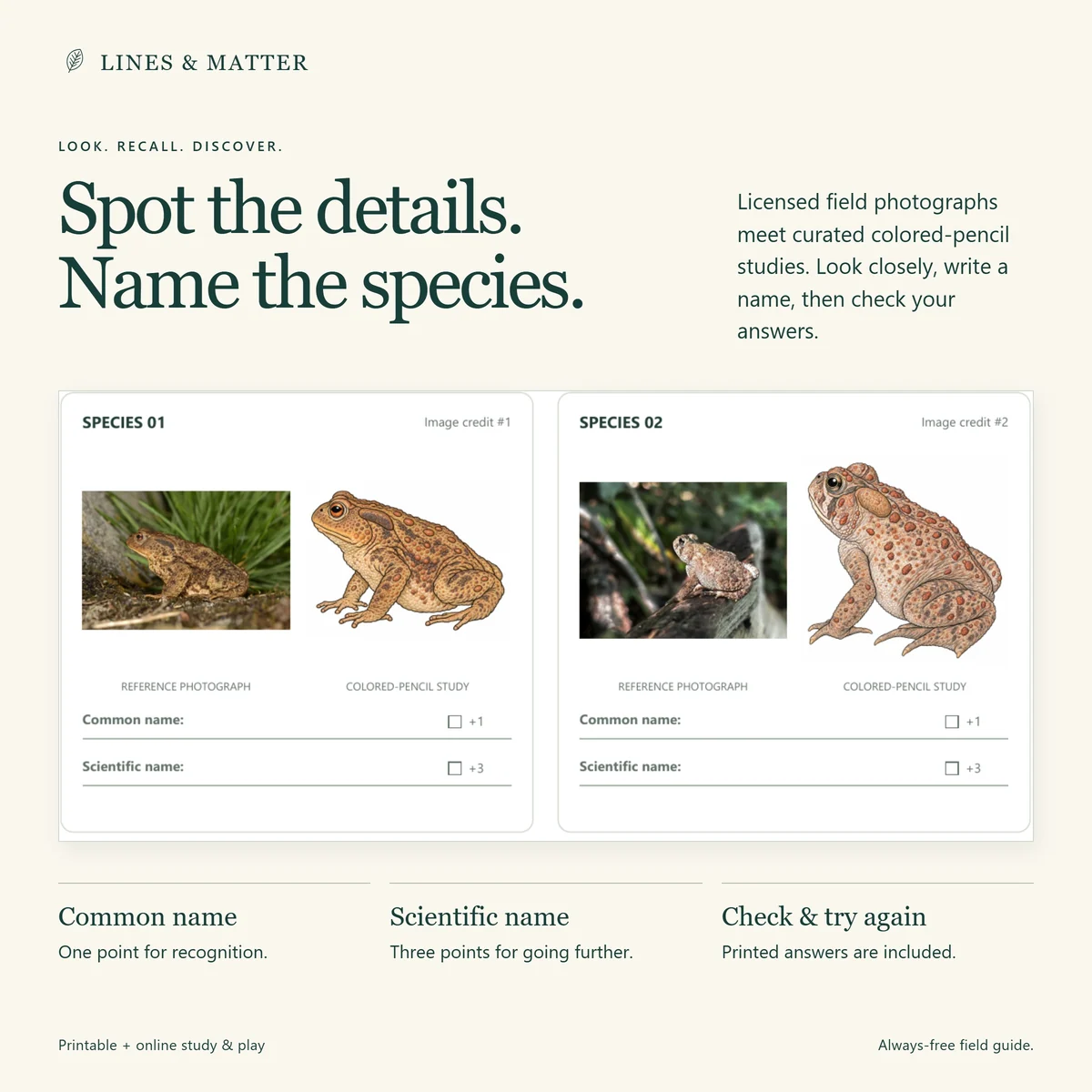 Frogs & Toads: Compare licensed field photographs with illustrations, then write the names.