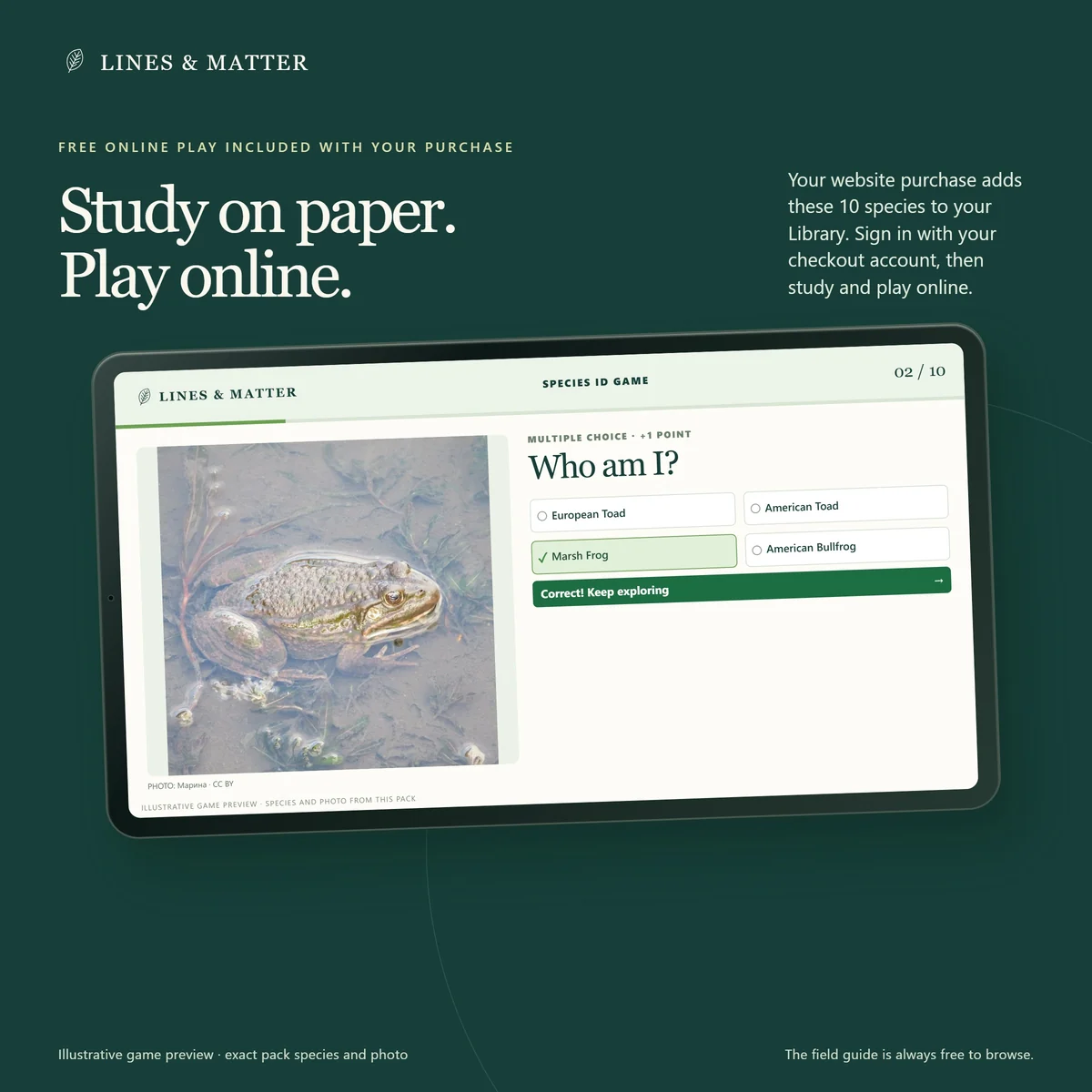 Frogs & Toads: An illustrative preview of the game included for this edition’s exact species.