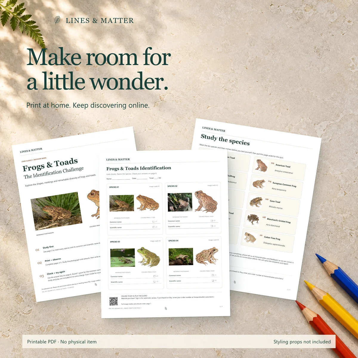 Frogs & Toads: An illustrative tabletop scene featuring this printable edition.