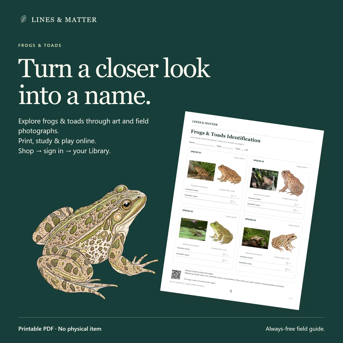 Frogs & Toads: Print the challenge, then keep practicing the same species online.