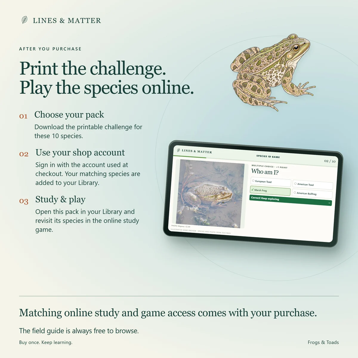Frogs & Toads: Matching online play and the always-free field guide.