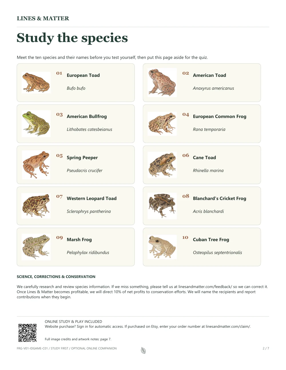 Frogs & Toads: An unchanged printable study page from this edition.