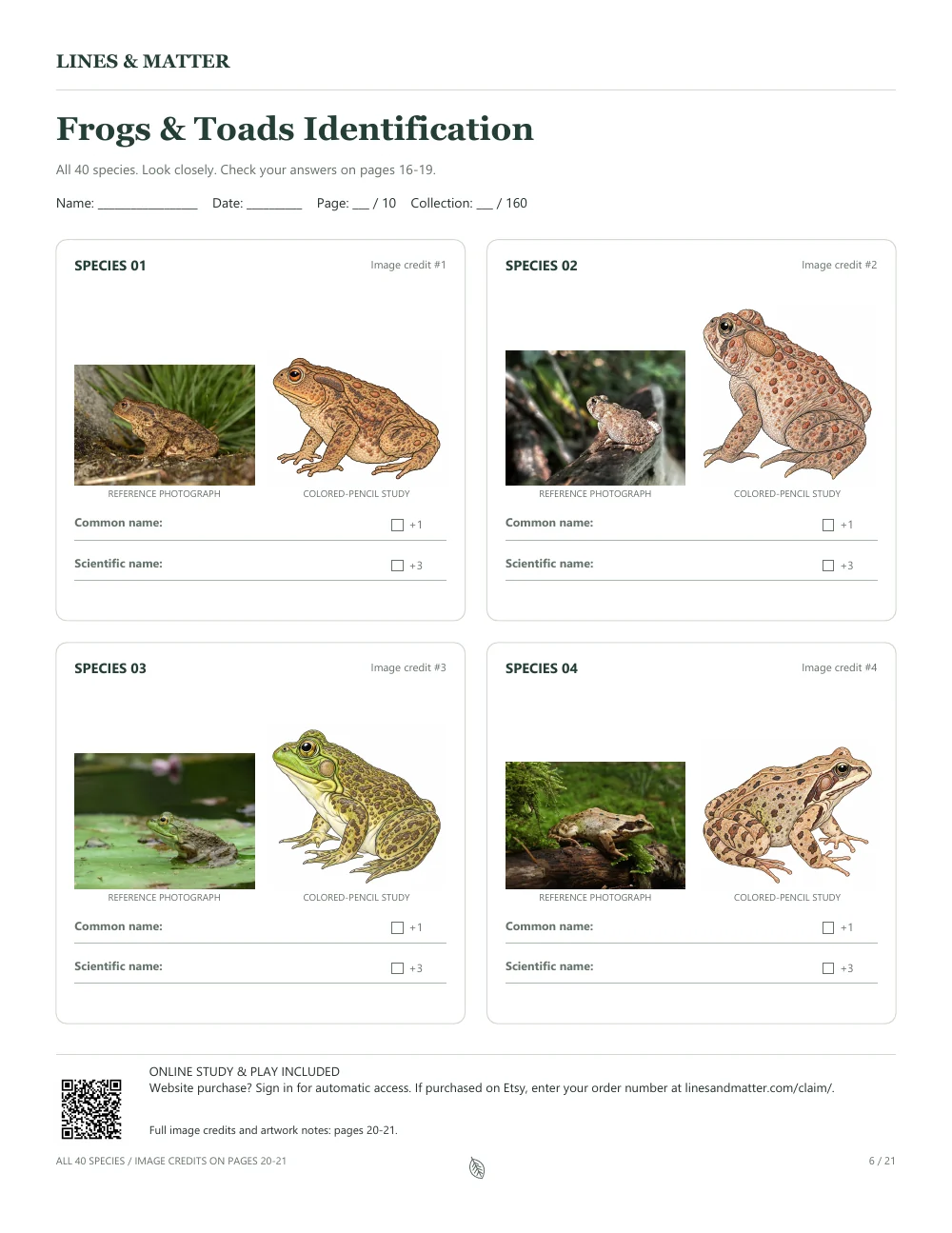Frogs & Toads: An unchanged printable photograph-and-illustration worksheet.