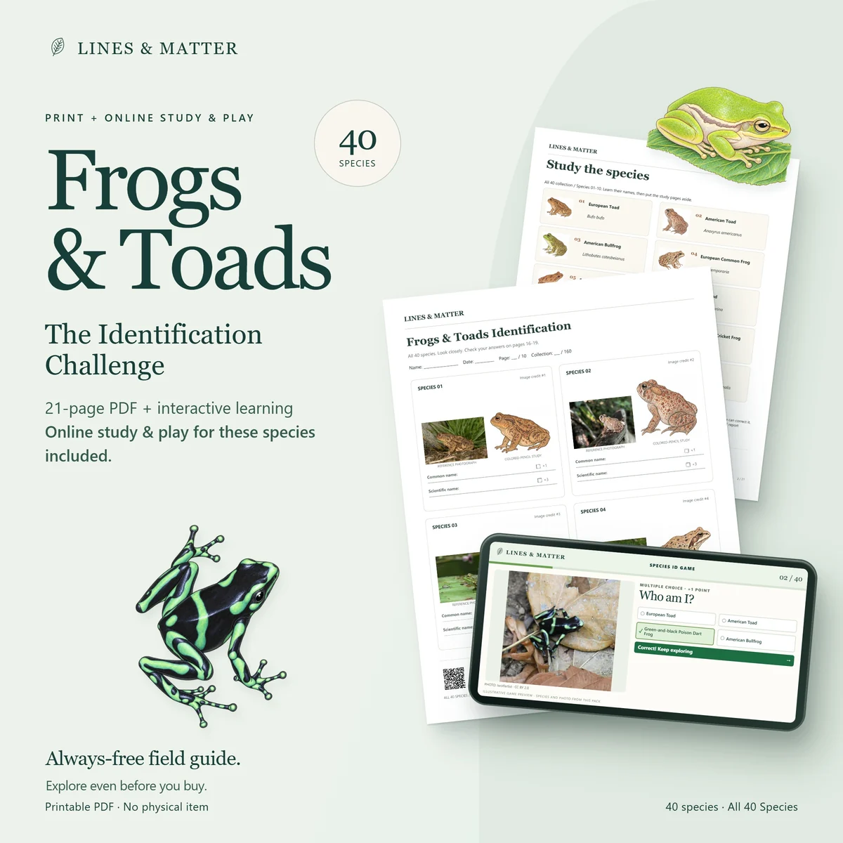 Frogs & Toads: The printable identification challenge and its matching online game.