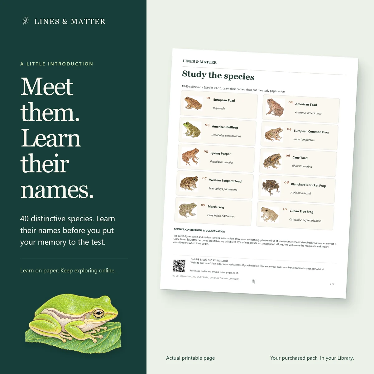 Frogs & Toads: Learn the names on the illustrated printable study page.
