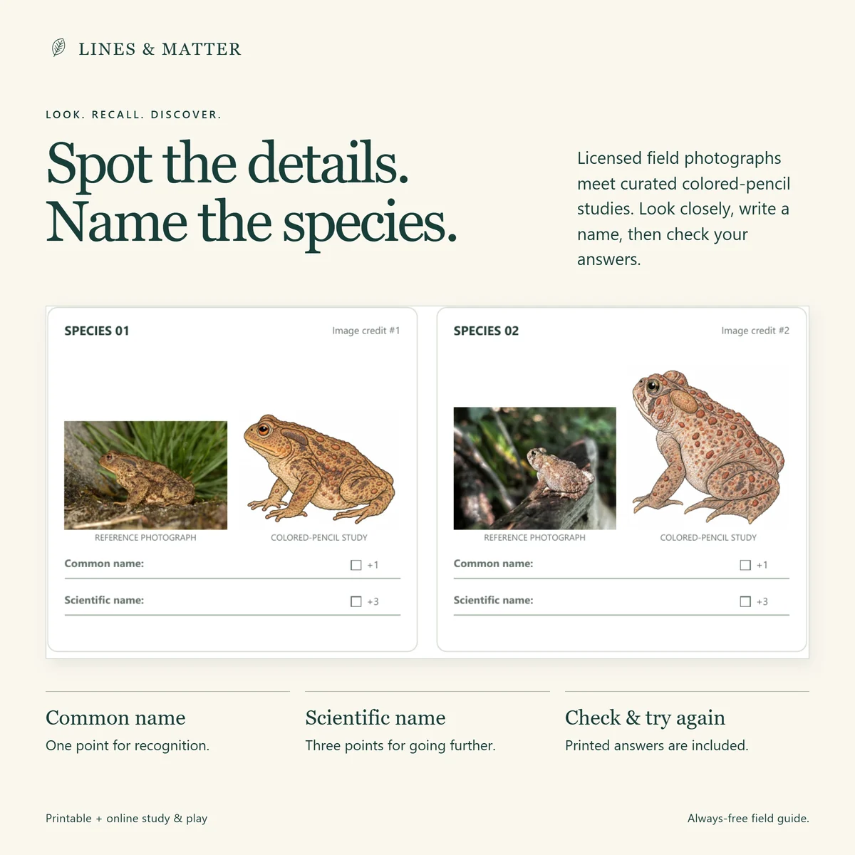 Frogs & Toads: Compare licensed field photographs with illustrations, then write the names.