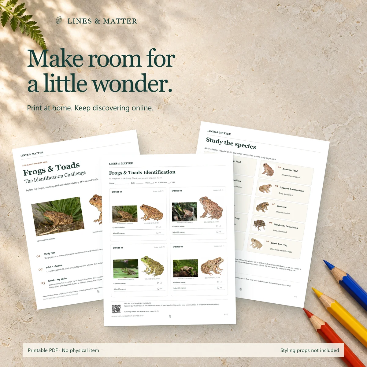 Frogs & Toads: An illustrative tabletop scene featuring this printable edition.