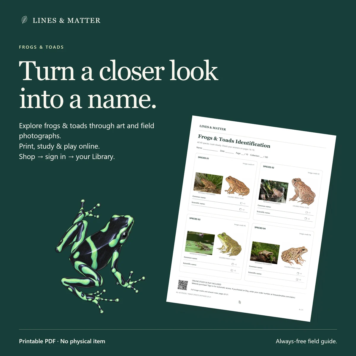 Frogs & Toads: Print the challenge, then keep practicing the same species online.