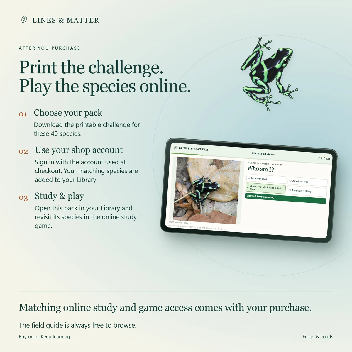 Frogs & Toads: Matching online play and the always-free field guide.
