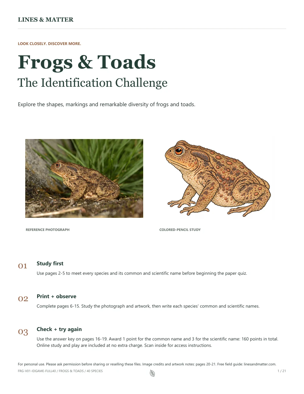 Frogs & Toads: The unchanged introduction to the printable and included online activities.