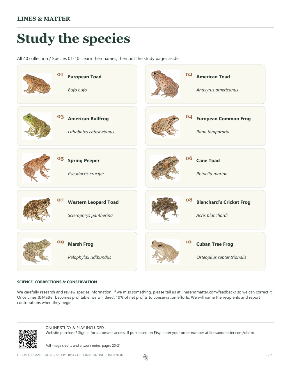 Frogs & Toads: An unchanged printable study page from this edition.
